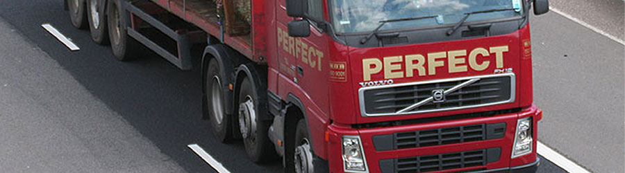 D.Perfect & Sons D.Perfect & Sons :: Perfect Project Services